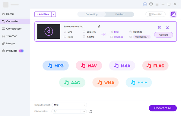 Convert audio to any format